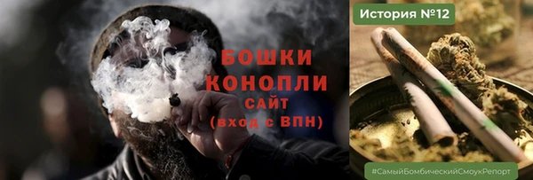 PSILOCYBIN Богородицк