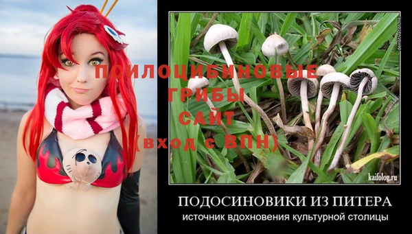 PSILOCYBIN Богородицк
