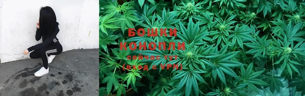 стафф Богородск