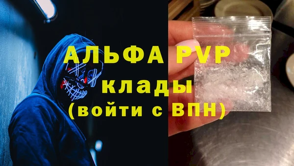 PSILOCYBIN Богородицк