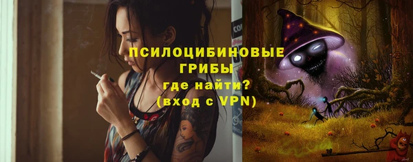 PSILOCYBIN Богородицк