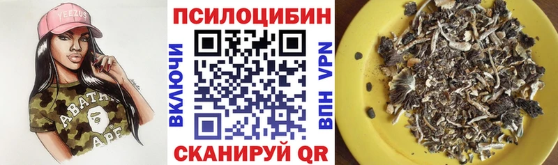 купить закладку  Нижний Новгород  Галлюциногенные грибы Magic Shrooms 